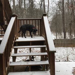 Meet your Posher, Jj